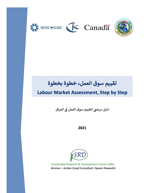 Labour Market Assessment, Step by Step