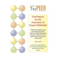 1y-peer_consolidated_evaluation_report_unfpa