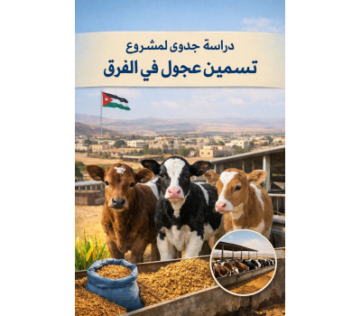 cover_image-feasibility